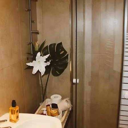 Apartamento Puerta Del Camino 1 Apartment *
